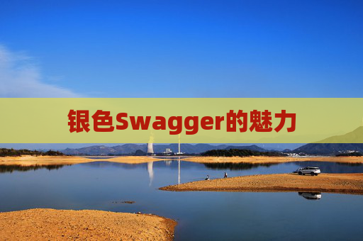 银色Swagger的魅力